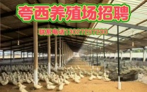 弥勒市夸西村养殖场